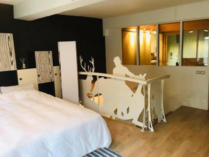 Beautiful duplex in the center of Paris - image 2