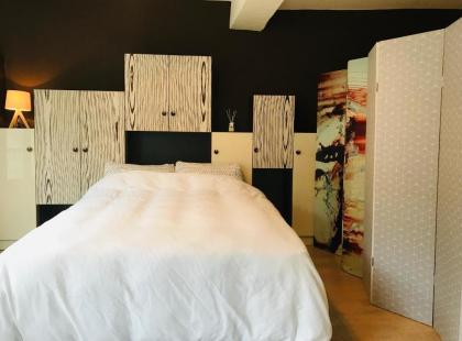 Beautiful duplex in the center of Paris - image 4