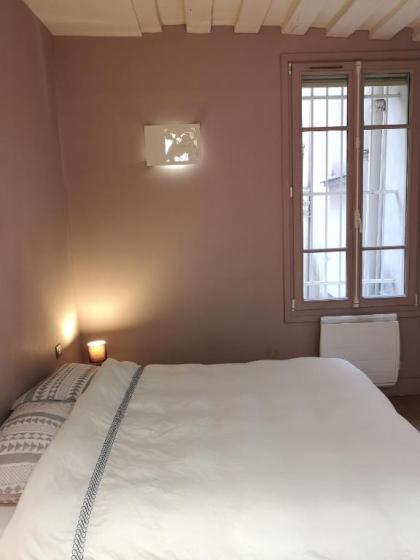 Beautiful duplex in the center of Paris - image 9