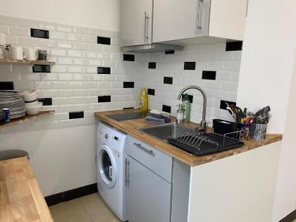 Large and unique souplex 60sqm well located - image 4