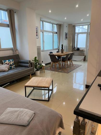 Large and unique souplex 60sqm well located - image 6