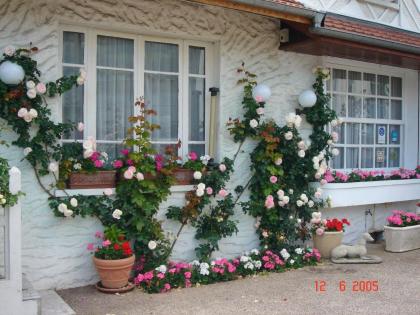 Hotel Restaurant Maison Blanche - image 16