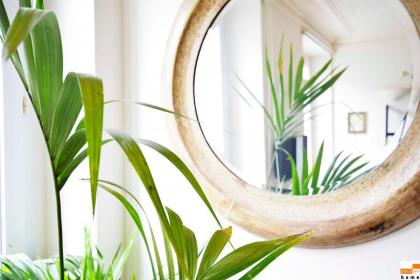 204340 - A two-room apartment with traditional chic style in the Marais