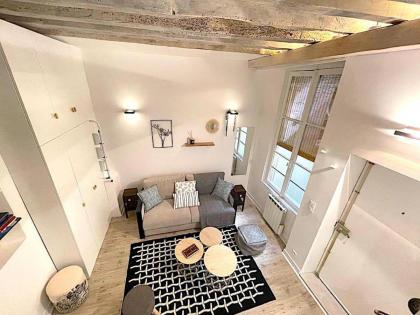 Loft du Quai des Grands Augustins - image 13