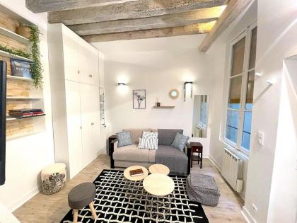 Loft du Quai des Grands Augustins - image 3