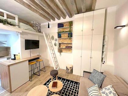 Loft du Quai des Grands Augustins - image 4