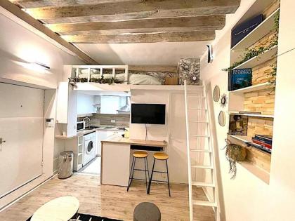 Loft du Quai des Grands Augustins - image 5