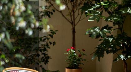 Hôtel Villa Romantic & Spa 4* - image 18