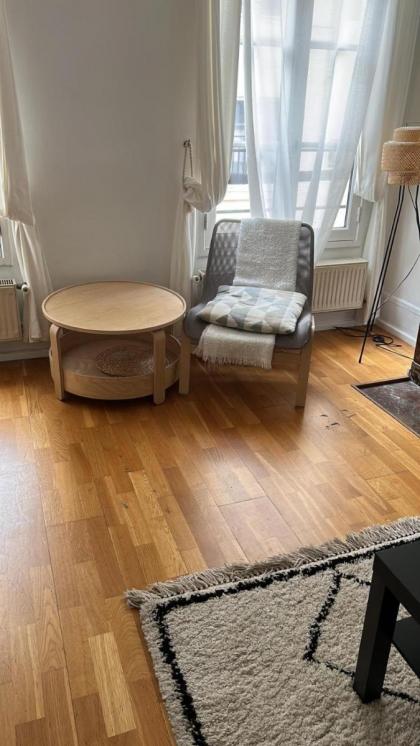 Chic Apartment on the famous shopping Rue du Faubourg Saint-Honoré street - image 12