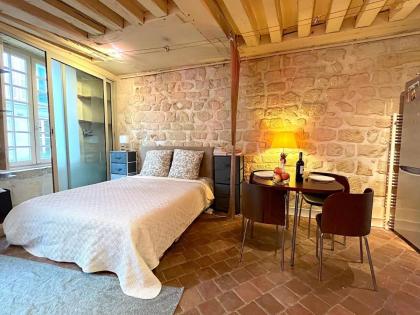 Loft Saint André - image 5