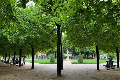 Le Clos Des Vosges - image 2