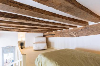 Beautiful Central Duplex - Latin Quarter - image 17
