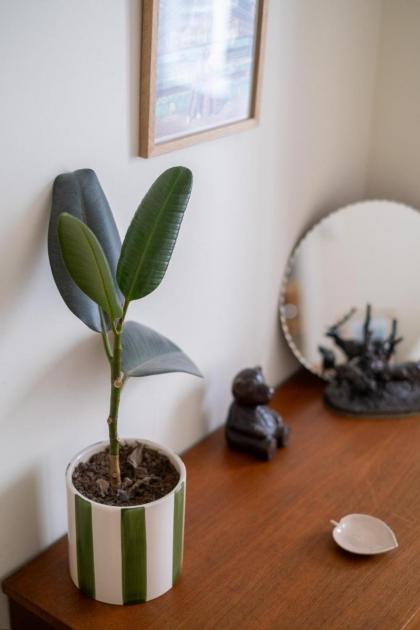 Veeve - Gentle Greens - image 12