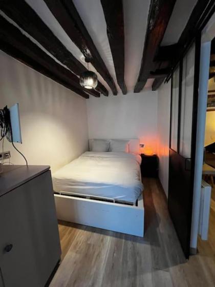 Appartement au Marais centre Paris - image 7