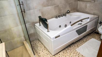 Regency Inn Hotels - image 7