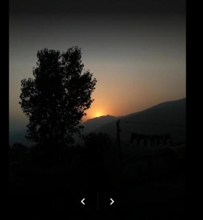 Abbasi Hotel - image 3