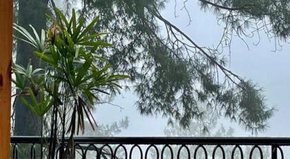 Richmond Boutique Hotel - image 15