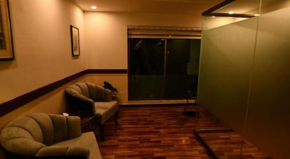 Royal Regency Hotel - image 13