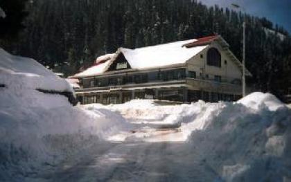 Hotel Amore Donga Gali - image 2
