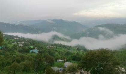 Navid's Holiday Resort & Hotel - image 15
