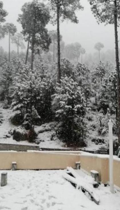 Navid's Holiday Resort & Hotel - image 8