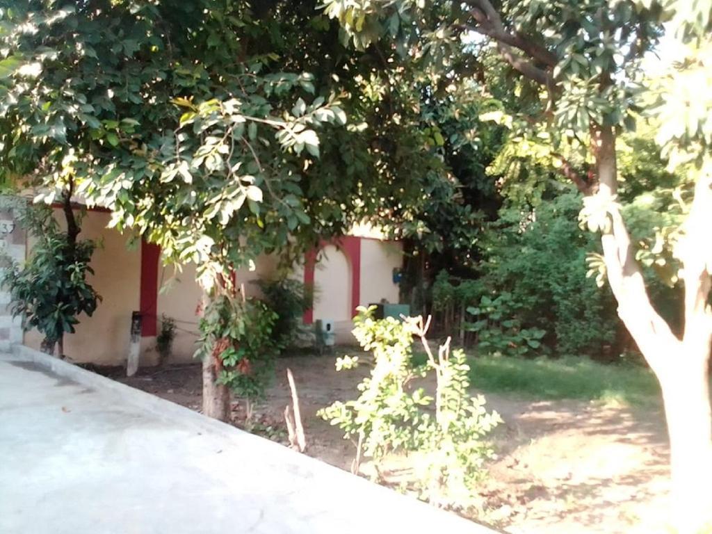 Newly Renovated Guest House - main image