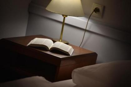 Three Crowns Hotel - image 4