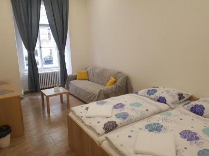 Hostel Opletalova - image 19