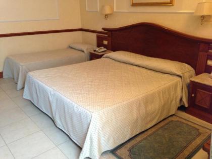 Hotel Hiberia - image 12