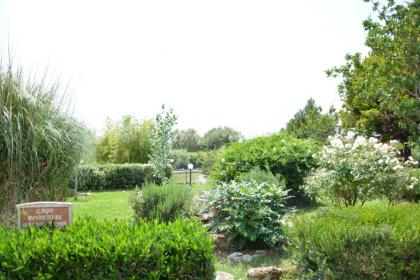 Casale Certosa - image 17
