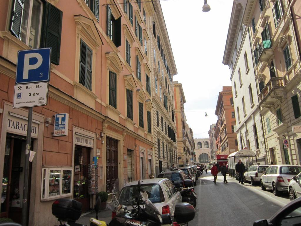 Evergreen - image 7
