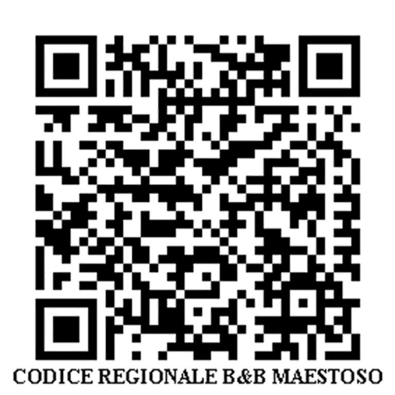 Maestoso Appartamento Turistico - image 2
