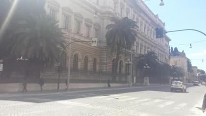 Monti First - image 5