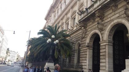 Monti First - image 7