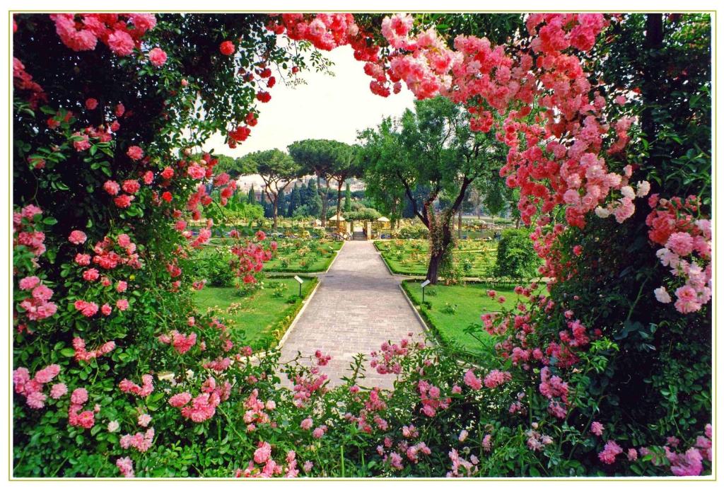 Aventino Guest House - image 4