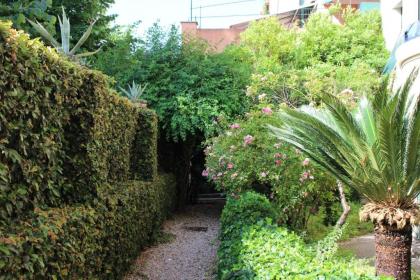 Aventino Guest House - image 5