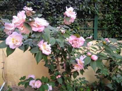 B&B Five - image 18