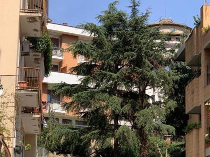 Casa Riz - image 11
