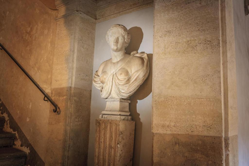 Palazzo Donarelli - image 5