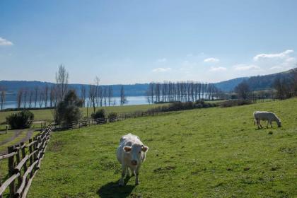 Il Castoro di Martignano - image 14