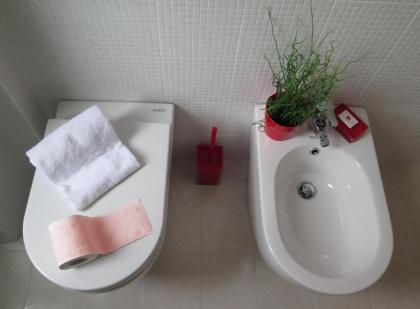APT Re di Roma - image 15