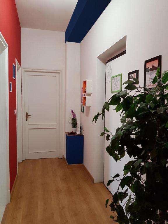 APT Re di Roma - image 6