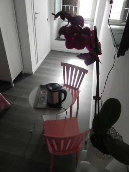Vica Pota - image 3