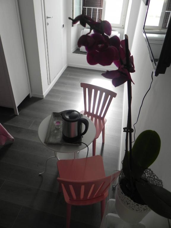Vica Pota - image 3