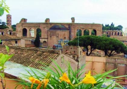 Colosseum Colosseo - image 3
