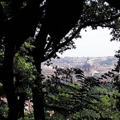 B&B Il Giardino di Gabri - image 17
