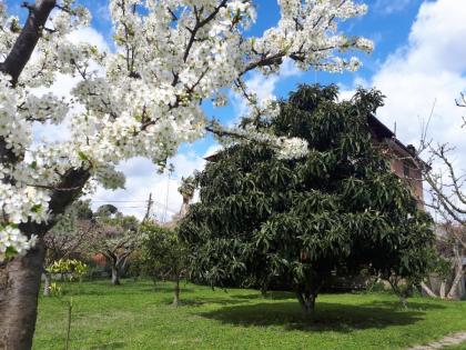 B&B Il Giardino di Gabri - image 25