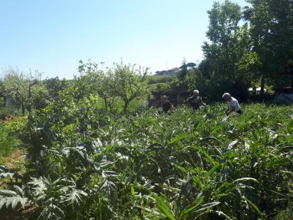 B&B Il Giardino di Gabri - image 26