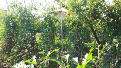 B&B Il Giardino di Gabri - image 29