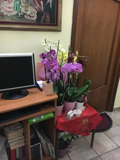Sofia Holiday Home - image 15